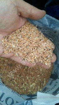 зерноотходы пшеничные