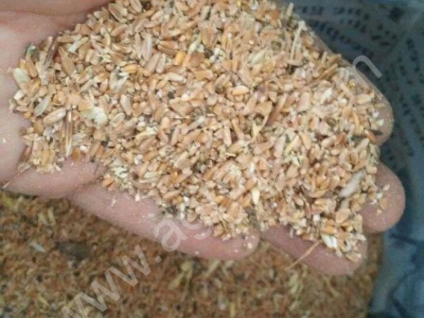 зерноотходы пшеничные