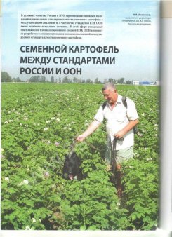 Вязка. Кобель русско - европейская лайка . За алиментного щенка.