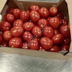 Томат сливовидный красный тепличный