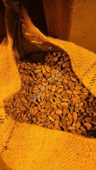 Сан-Томе. Какао-бобы, целые, сушёные. Сорт Форастеро