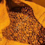 Сан-Томе. Какао-бобы, целые, сушёные. Сорт Форастеро