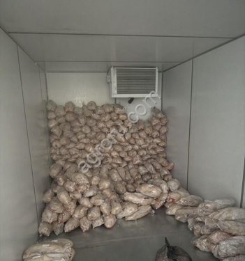 Гуси