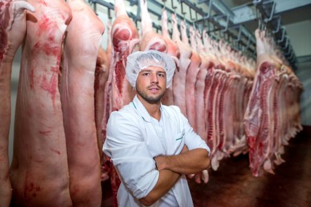Технологическая схема производства грудинки