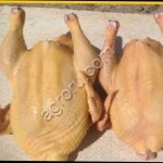 Свежее мясо - Бройлерные цыплята, Куры (старка суповая), Гусь, Утка, Мулард