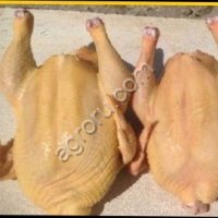 Свежее мясо - Бройлерные цыплята, Куры (старка суповая), Гусь, Утка, Мулард