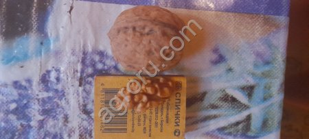 Грецкий орех не чищенный