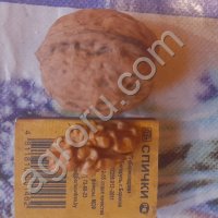 Грецкий орех не чищенный