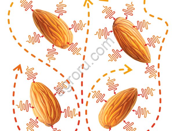 Печь для обжарки орехов