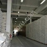 Мука оптом В/с