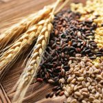 Зерновые (на экспорт)