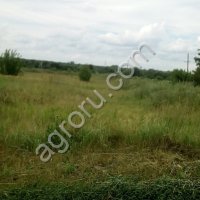 земельный участок 1Га