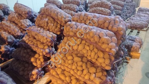 картофель
