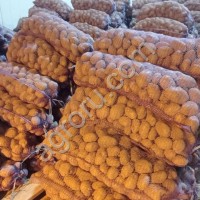 картофель