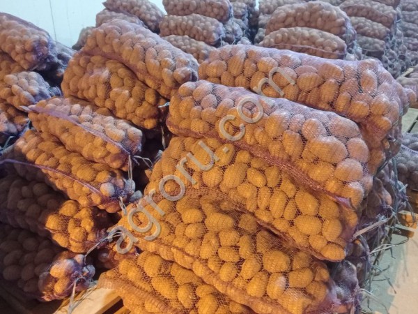 картофель