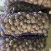 Картофель от производителя.