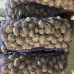 Картофель от производителя.