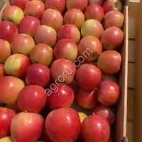 Яблоки Гала первый сорт 65+