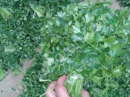 Свежая зелень (укроп, петрушка)