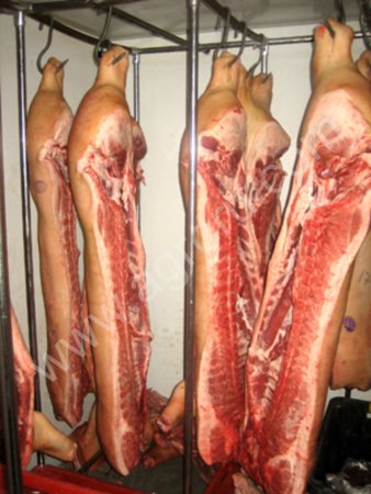Свинина охлажденная в п/т 1-2 кат.