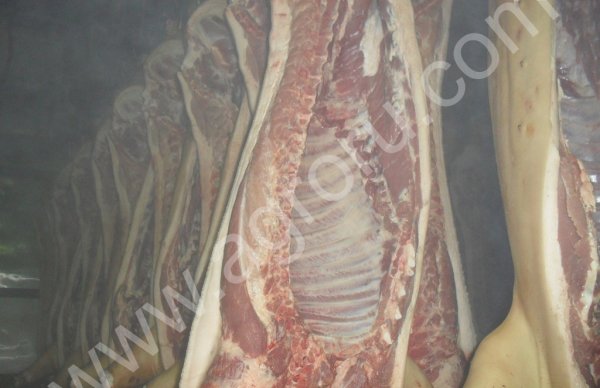 Мясо свинины оптом