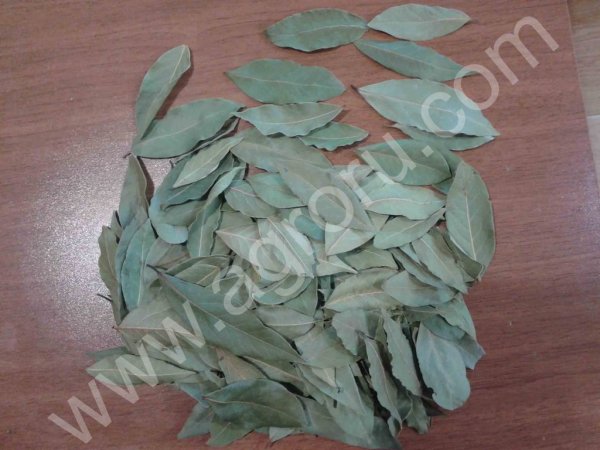 Лавровый лист