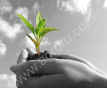 Средства защиты растений сельхозназначения