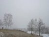 Урожай южноуральских фермеров может остаться под снегом