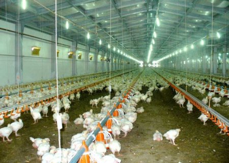 Деньги не дали незаконно