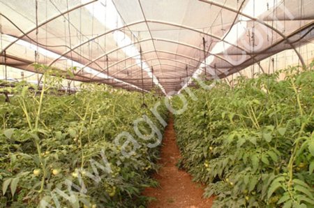 Теплица для фермера 10х30м