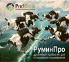 Дрожжевой пробиотик РуминПро