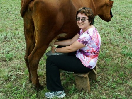 Объем реализации молока растет