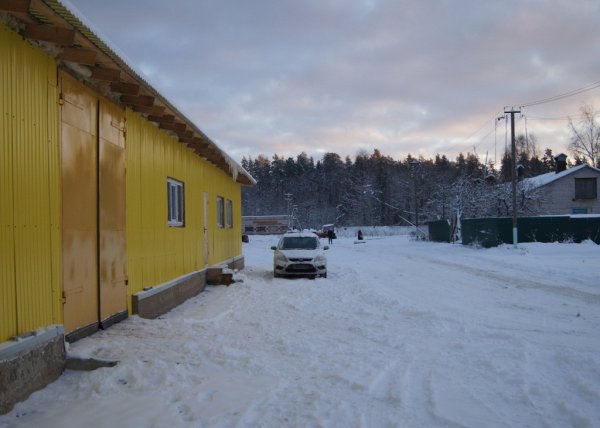 Доильный робот