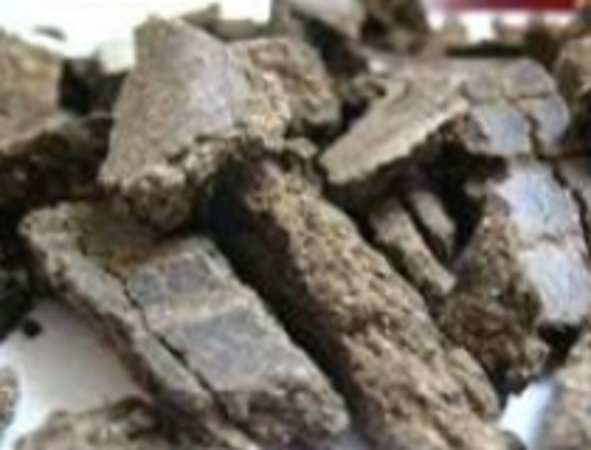 Индия: в июне 2012 г. экспорт шротов масличных увеличился на 22%