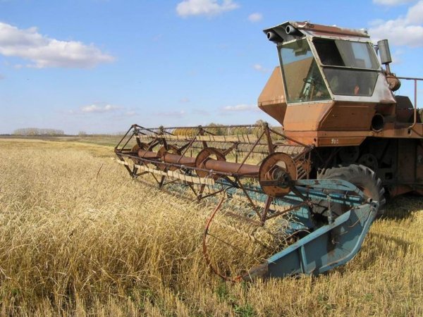 В Новгородской области продолжается уборка урожая