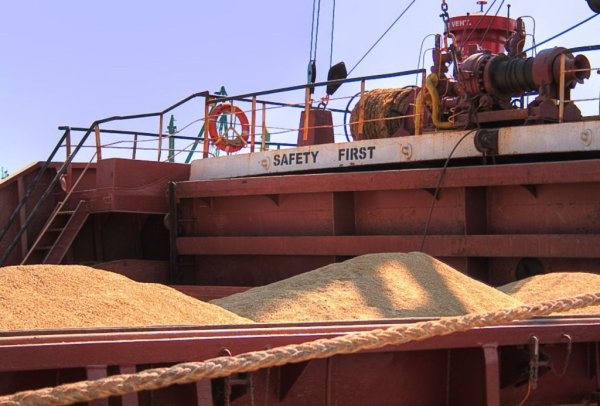 Встреча Ипатова с Путиным