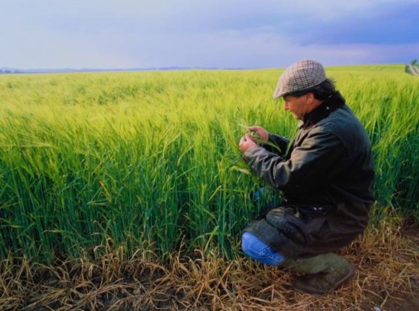 Легко ли в Беларуси быть фермером?