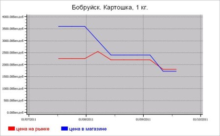 Овощные цены Бобруйска