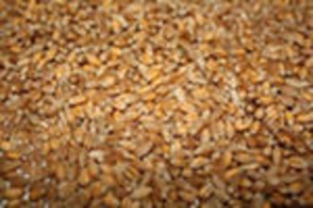 Влияние понижения кредитного рейтинга США на мировые цены на пшеницу