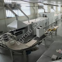 Линия с газовой тоннельной печью