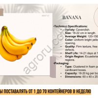 Бананы Эквадорские / Cavendish