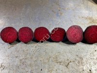 Свекла столовая свежая