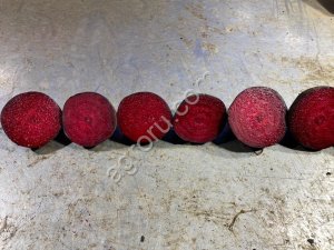 Свекла столовая свежая