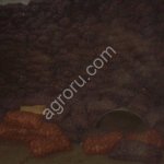 Вентиляционные каналы (вентканалы) для овощехранилищ