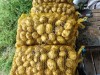 Молодой картофель