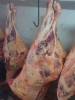 Мясо говядина оптовые из Бразилии.