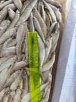 Корюшка НР малоротка