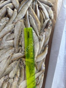 Корюшка НР малоротка