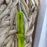 Корюшка НР малоротка