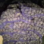Картофель оптом